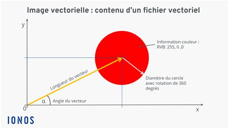 Images Vectorielles Redimensionner Sans Perte De Qualité Ionos