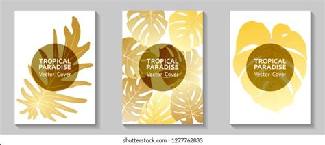 Set Vector Label Pineapple Dried Stock Vector Royalty Free 1815996098