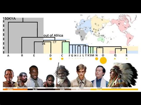 Дэлхийн хүн амын арьстны ялгаа, тархалт - YouTube