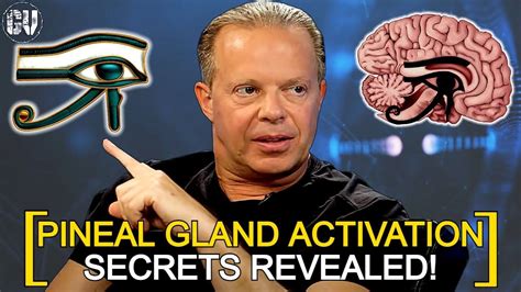 Dr Joe Dispenza - Powerful PINEAL GLAND Activation | Ancient Secrets ...