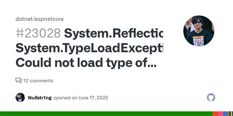 System Reflection Targetinvocationexception System Typeloadexception