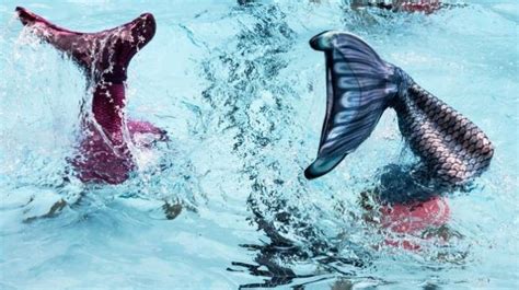 Mimpi Jadi Nyata Wanita Ini Hasilkan Ratusan Juta Sebulan Berkat Jadi