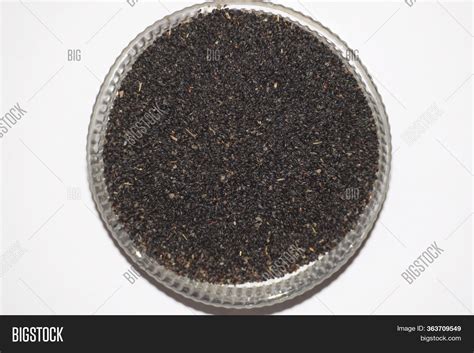 Babchi Seeds Psoralea Image & Photo (Free Trial) | Bigstock