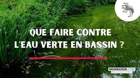 Que Faire Contre L Eau Verte D Un Bassin Monbassin Blog