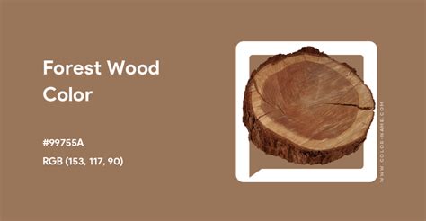 Forest Wood color hex code is #99755A