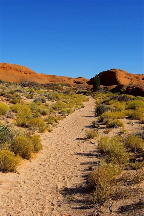 Desert Path Stock Image Image Of Desert Blue Tree Arid 3564525