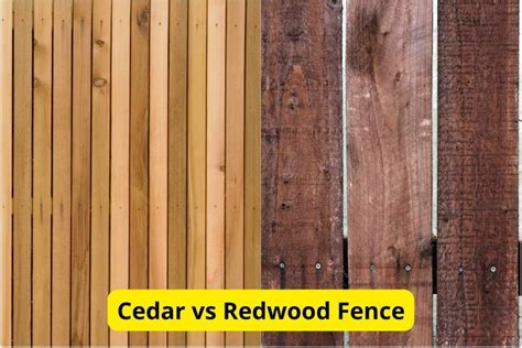 Cedar Vs Redwood Fences Which Is Better