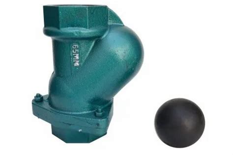 Cast Iron Ci Ball Type Check Valve At Rs 140 In Rajkot ID 23822509930