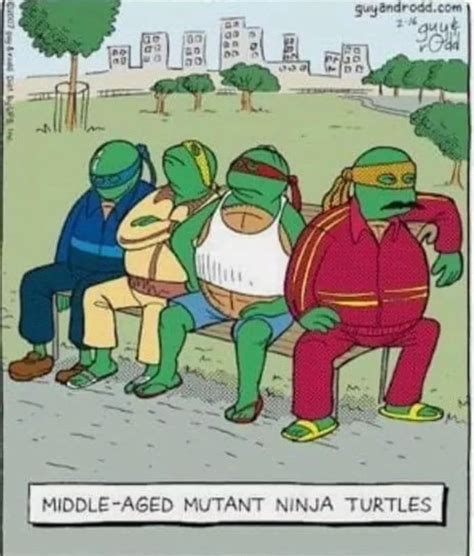 Middle Aged Mutant Ninja Turtles 9gag