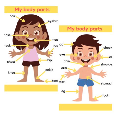 My Body Poster Teacha