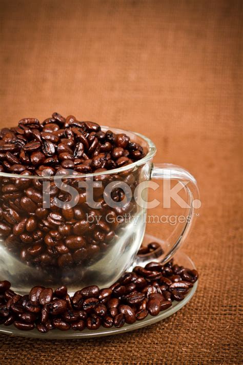 Fresh Hazelnut Coffee Beans In Glass Cup Stock Photo | Royalty-Free | FreeImages