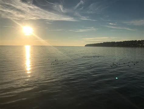 White Rock Beach, British Columbia : r/beach