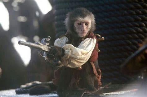 I Dont Like Capuchin Monkeys Pirates Of The Caribbean Pirates