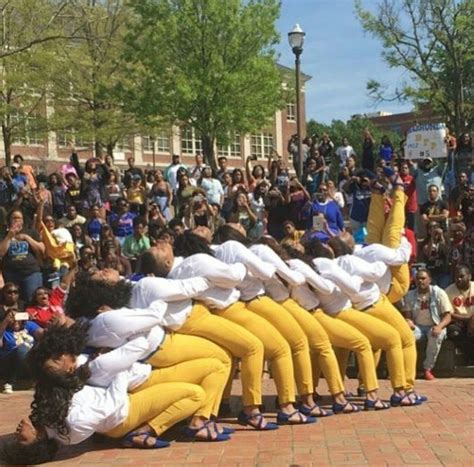 Welcome Alpha Beta Chapter Of Sigma Gamma Rho Sorority Tennessee State