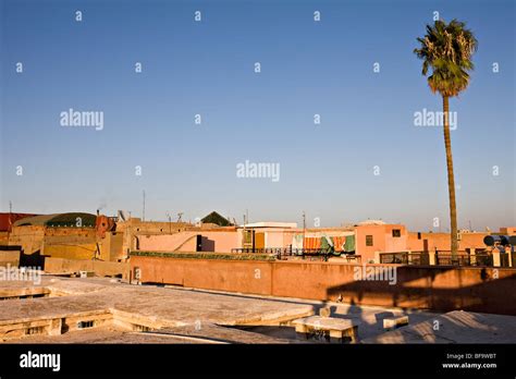 Palm Tree Roof Hi Res Stock Photography And Images Alamy