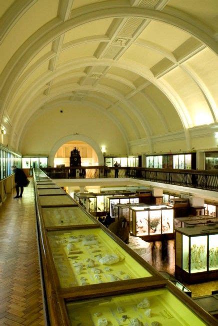 Horniman Museum Pictured Here Is The Museums Upper Gallery