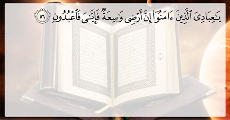 Al Quran 2956 Surah Al Ankabut Ayah 56 Malayalam Translation