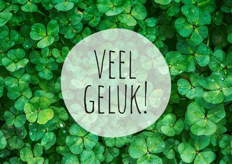 Klavertjes Veel Geluk Succes Kaarten Kaartje Go