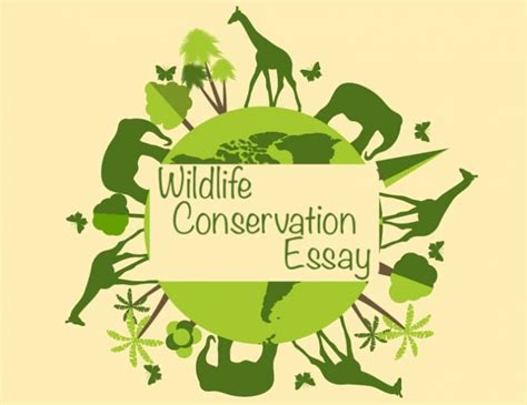 Wildlife Conservation Essay For Students Of Class 1 To 12