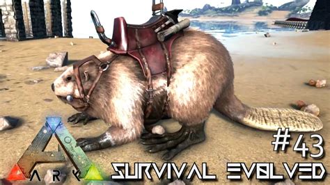 Ark Survival Evolved Giant Beaver Taming Castoroides Season 3