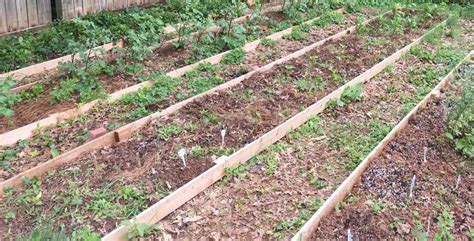 How To Build Tiered Garden Beds On A Slope Hanaposy