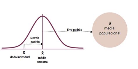 Desvio Padr O Versus Erro Padr O Blog Da Prof Fernanda Maciel