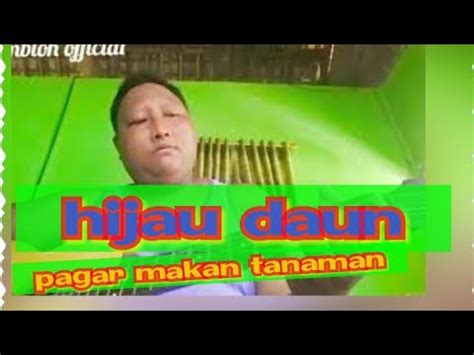 Hijau Daun Pagar Makan Tanaman Cover By Gombloh YouTube