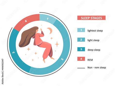 Vecteur Stock Sleep Stages Lightest Light Deep Sleep Rem A Nice