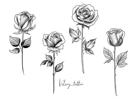 Rose Stem Drawing Tattoo