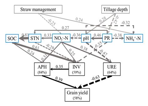 Sustainability Free Full Text Effects Of Deep And Shallow Tillage