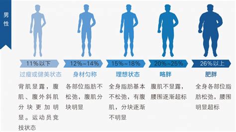 男性体脂率对照表 图库 五毛网