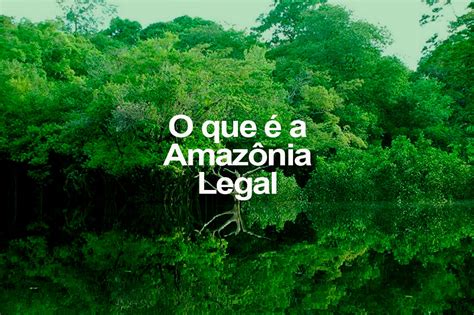 O que é a Amazônia Legal Diocese de Rondonópolis