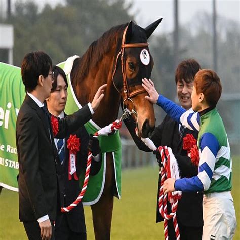 【先週のjra抹消馬】重賞6勝を挙げたメイケイエール、昨年の府中牝馬s制したディヴィーナなど 2024年4月1日掲載 ライブドアニュース