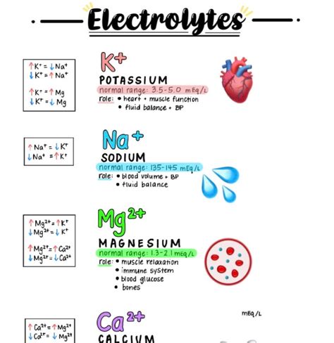 Nursing Student Electrolyte Imbalances K Na Mg Ca Etsy