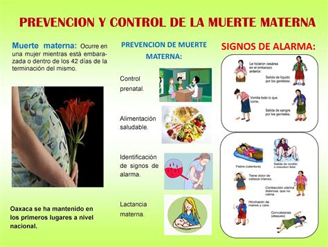 PrevenciÓn Y Control De Muerte Materna Cartel Muerte Materna