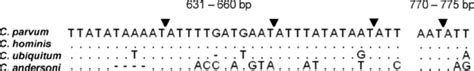 Sspi Restriction Enzyme Recognition Sequences Cleavage Site Indicated Download Scientific