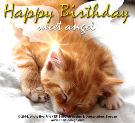 Happy Birthday My Sweet Angel Free Happy Birthday Ecards 123 Greetings