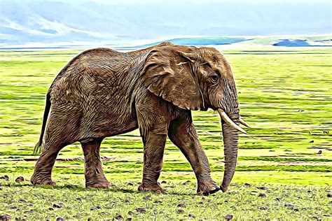 Meandering Elephant Digital Art By Jason Tandy Fine Art America