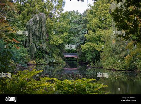 Berlin Germany Sept 2022 A Wooden Bridge In The Midst Of Green