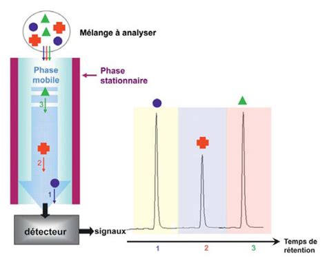 Technique D Analyse La Chromatographie Pour S Parer Les Mol Cules