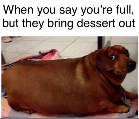 There’s Always Room For Dessert 9gag