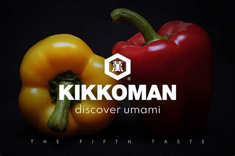 Kikkoman Umami Campaign Web Banners On Behance