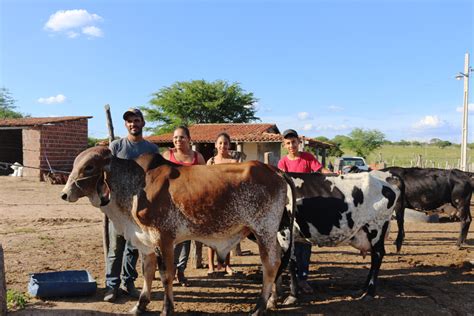 ajuda do Senar família de produtores de leite aumenta renda e