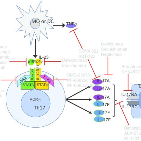 Biologics Targeting Il Il Axis In Rheumatic Diseases Specific