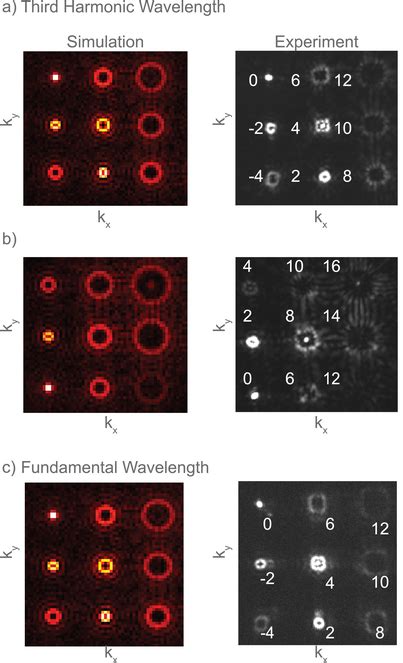 The Left Column Shows The Numerically Simulated Vortex Beam Arrays Of