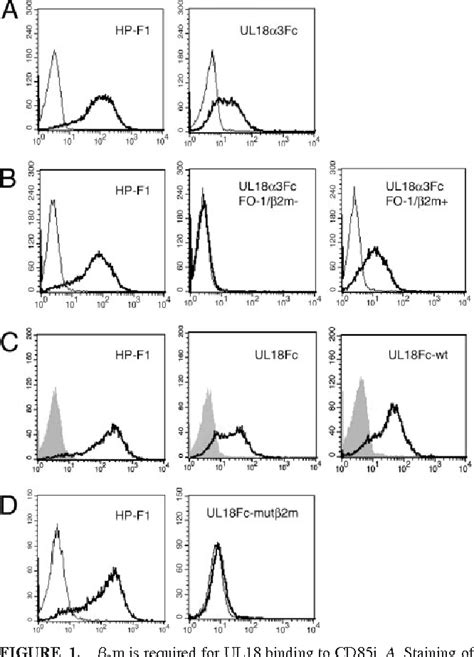 Figure From Dissecting The Structural Determinants Of The Interaction