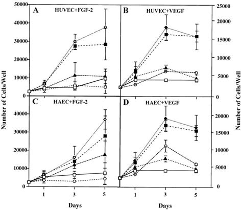 Antibody To VEGF Inhibits FGF 2induced Endothelial Cell Proliferation