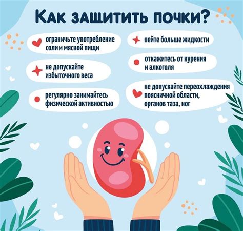 9 марта—Всемирный день почки. Нужно ли «чистить» почки и сколько пить ...