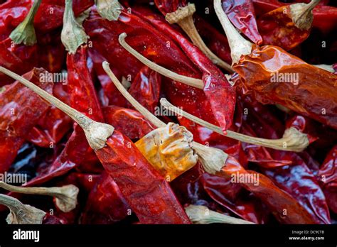 Chili Hi Res Stock Photography And Images Alamy