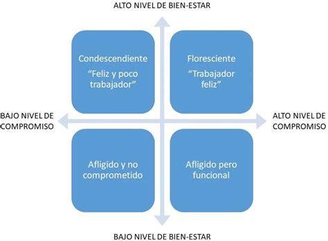 El Compromiso En La Organización Fundación Sonría